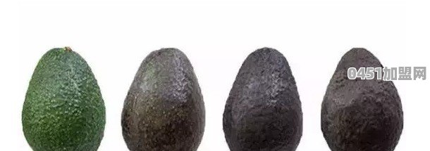 大米可以做哪些食物？有面粉的用途多吗