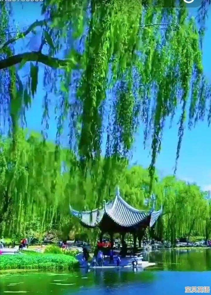 蜂蜜 英语