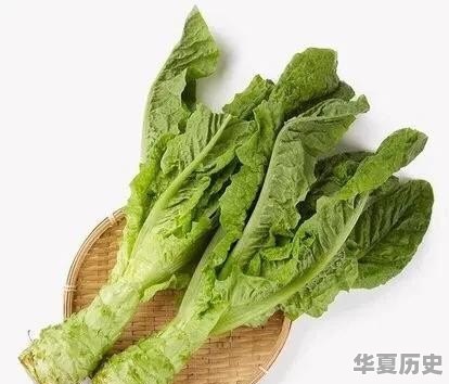 江西的客家人和广东的客家人有什么区别 - 华夏历史