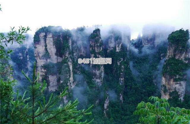 大家的家乡都有什么美食、美景