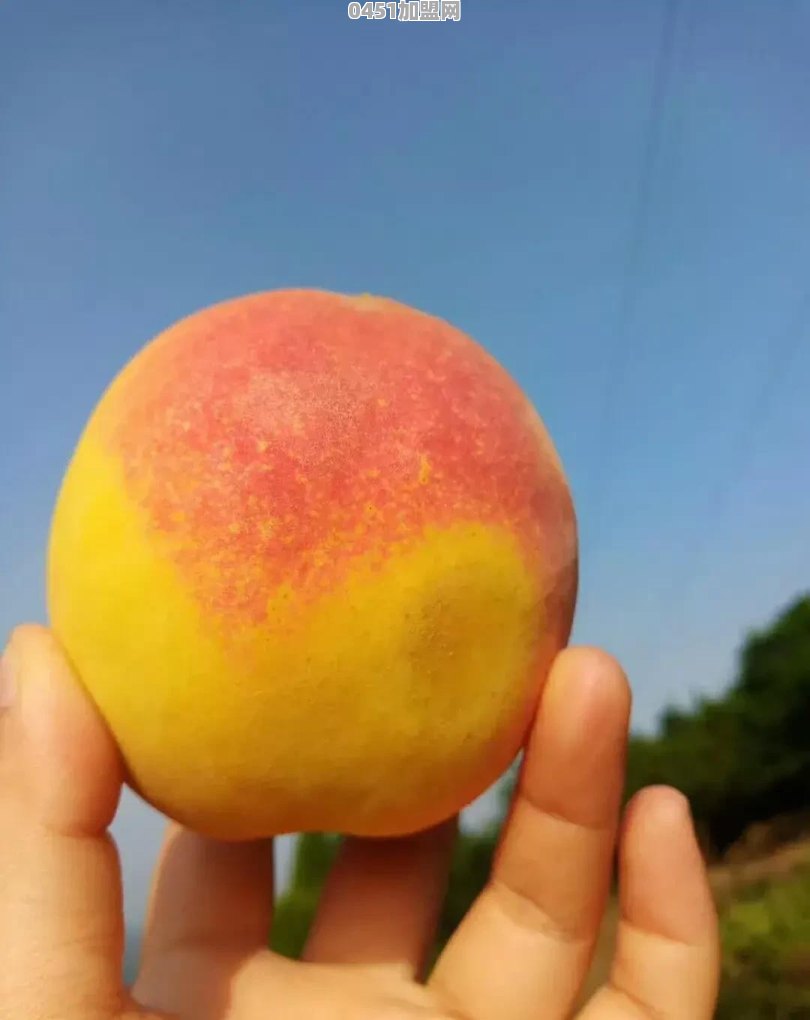 能说一说自己老家的特色农产品吗