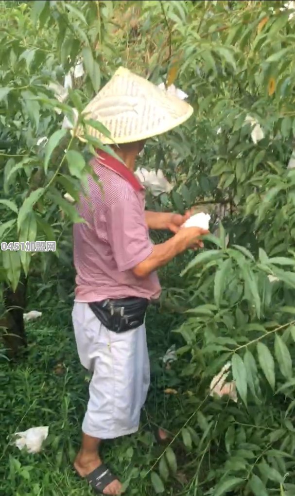 头条直播卖家乡土特产，如何跟货主谈合作呢