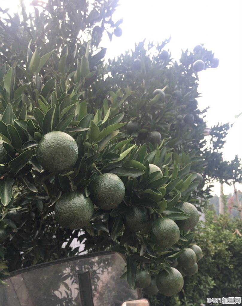 头条直播卖家乡土特产，如何跟货主谈合作呢