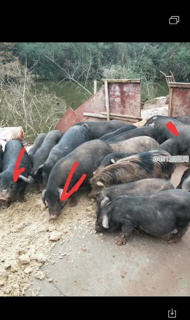头条直播卖家乡土特产，如何跟货主谈合作呢