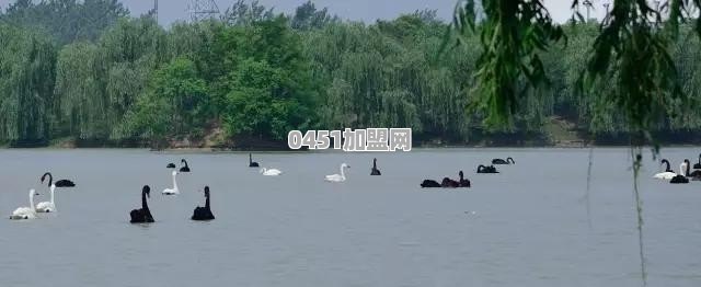 阜阳有哪些好玩的地方