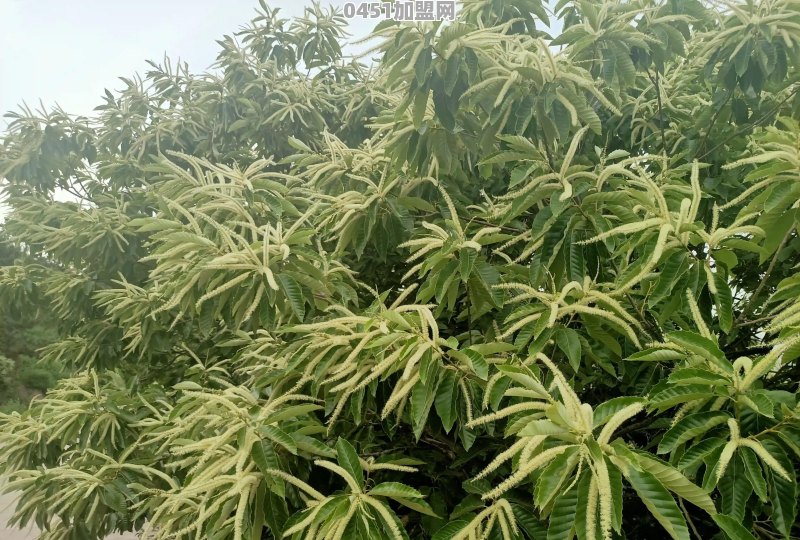 在农村做电商卖土特产需要注意什么
