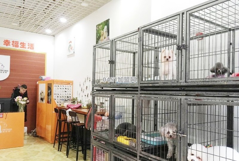 来宾开宠物店需要多少资金