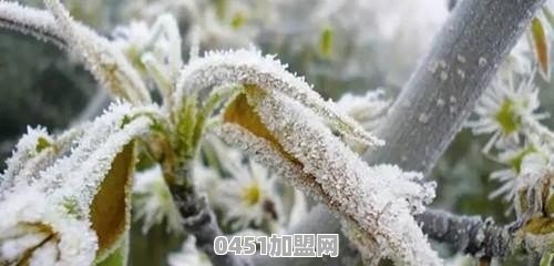 你有没有那种被骗的防不胜防的经历