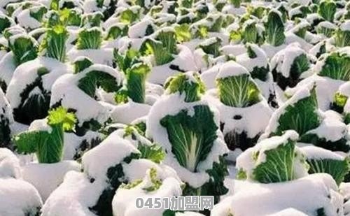 你有没有那种被骗的防不胜防的经历
