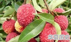 泸州市有哪些水果特产 - 华夏历史