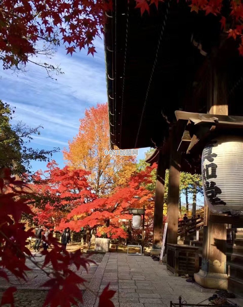 11月底去日本关西 奈良+京都+大阪 大概7天 行程该如何安排