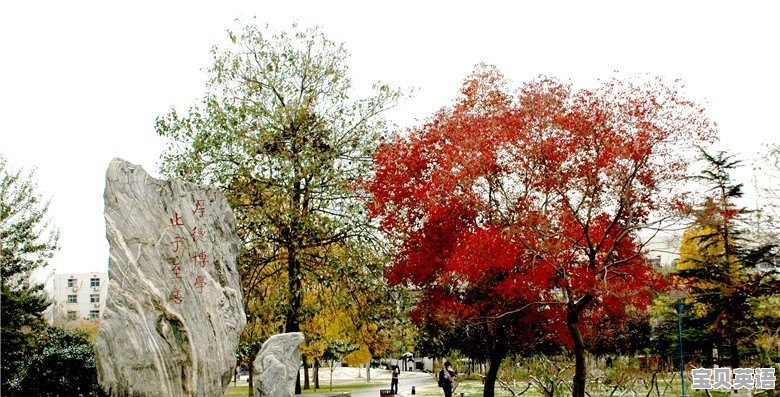 河南工业大学能保研去哪里 - 宝贝英语
