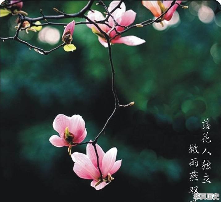 你看到过最感人的古诗句是什么 - 华夏历史