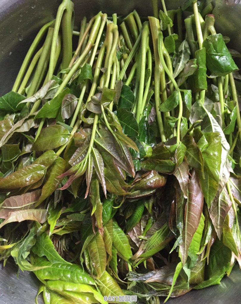一日三餐创意美食，分享一下你的盘中美餐可好