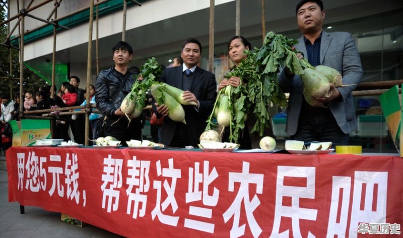 一些农产品滞销的本质是什么 - 华夏历史