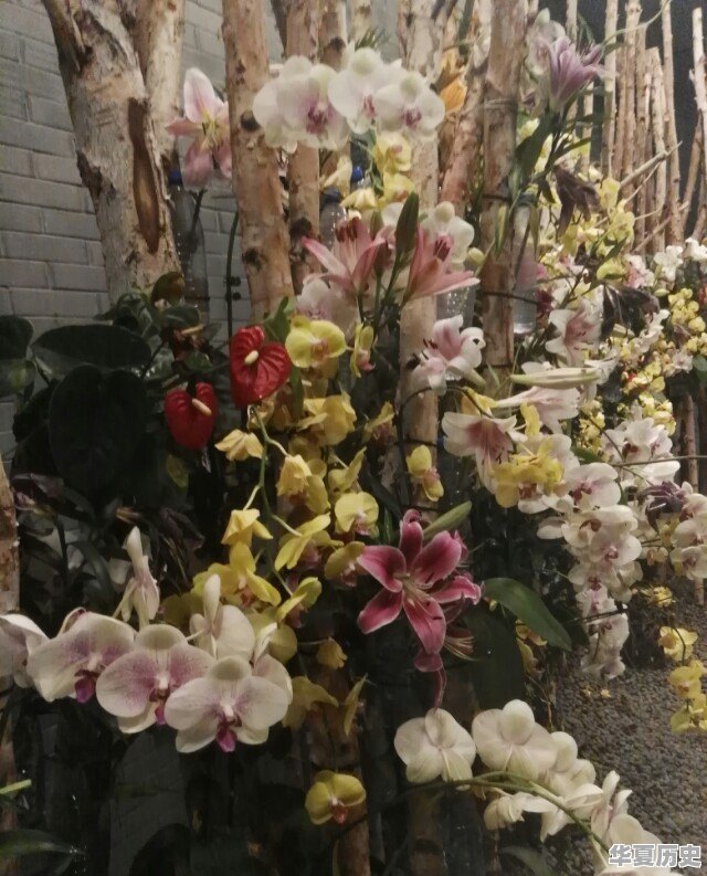 一些农产品滞销的本质是什么 - 华夏历史