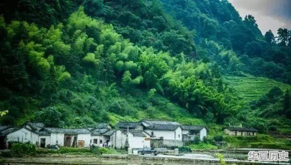 一些农产品滞销的本质是什么 - 华夏历史