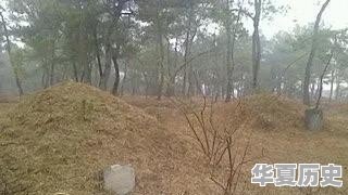 清明祭祖，百善孝为先，有哪些习俗？清明节为什么不固定日期 - 华夏历史