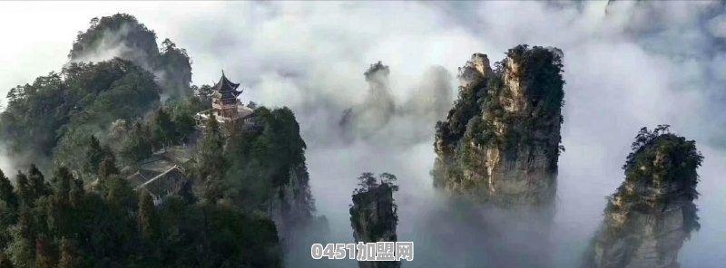 半夜钻进地里偷摘花生，石狮两名男子被抓获拘留, 你怎么看