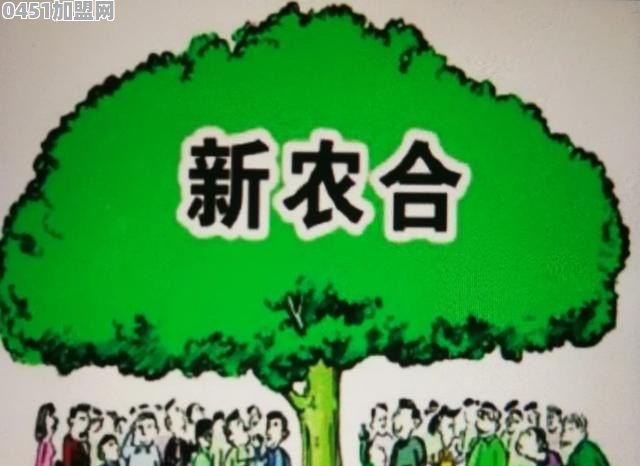 半夜钻进地里偷摘花生，石狮两名男子被抓获拘留, 你怎么看