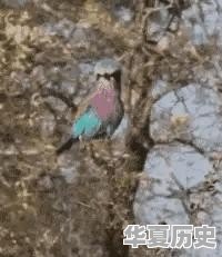 劳动创造美手抄报内容 - 华夏历史