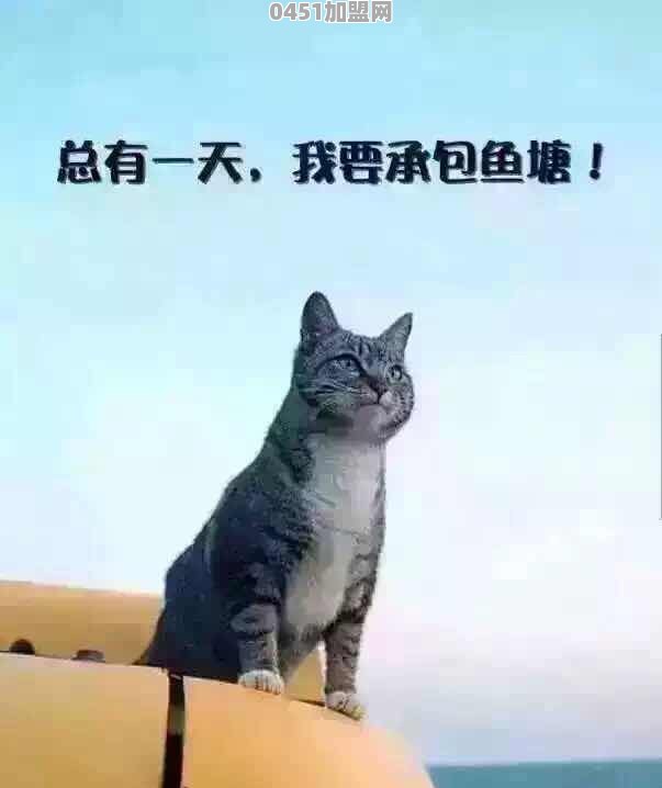 只有500元，去哪里旅游合适