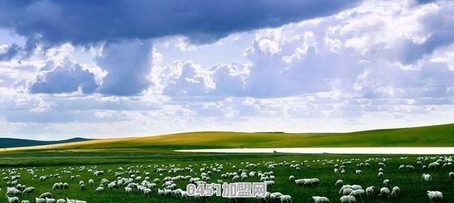 只有500元，去哪里旅游合适