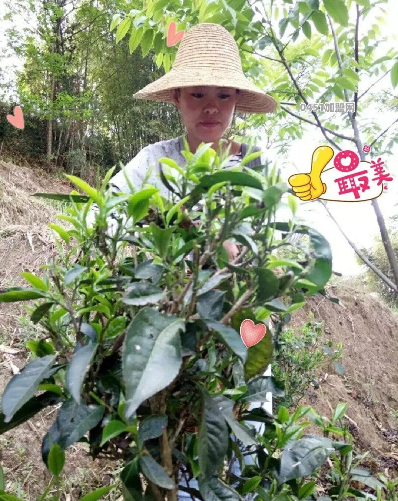 冰岛有麦当劳或者肯德基吗
