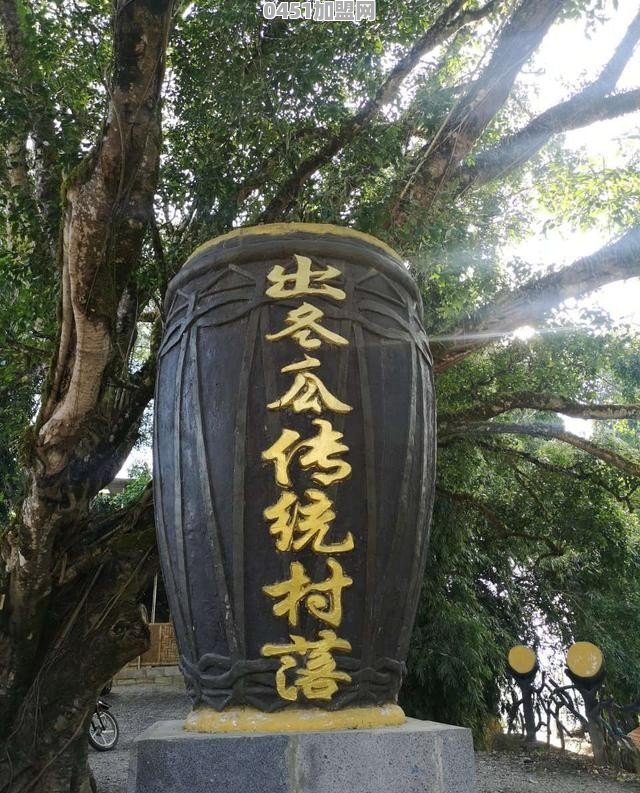 国内互联网大佬有几个为百姓做过真正的实事