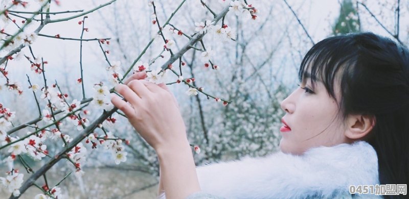 很多人向往李子柒那样的农村生活，如果放弃所有过那样的日子你愿意吗