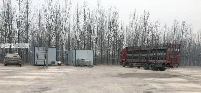 养猪场应如何做好猪瘟防控工作？有哪些建议