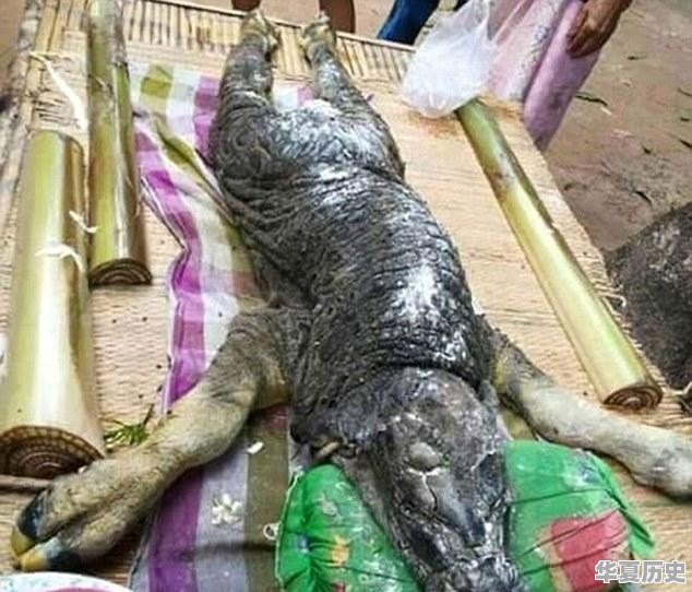 张献忠是怎么死的 - 华夏历史