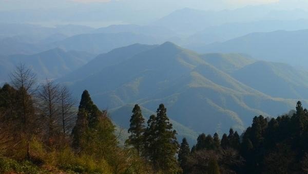 国内夏季旅游避暑的好地方