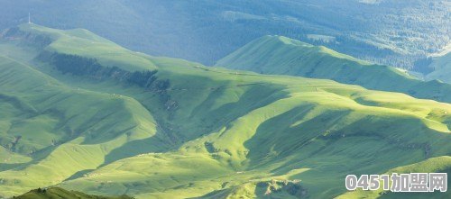 “野火烧不尽，春风吹又生”，这不就是大白话吗？为何感觉意境深远