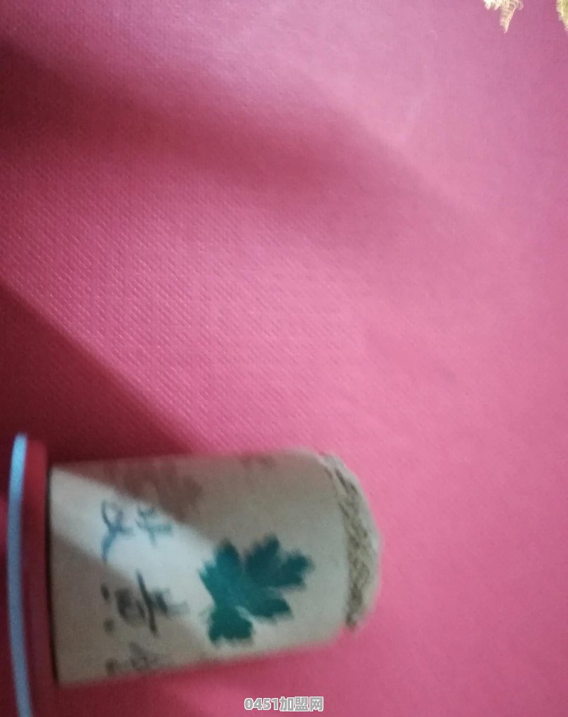 中医馆加盟有哪些渠道？求推荐