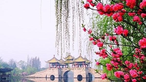 春天适合去哪里旅游