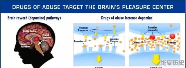 一个二年级的孩子和一个快上一年级的孩子寒假怎样过读啥书 - 华夏历史