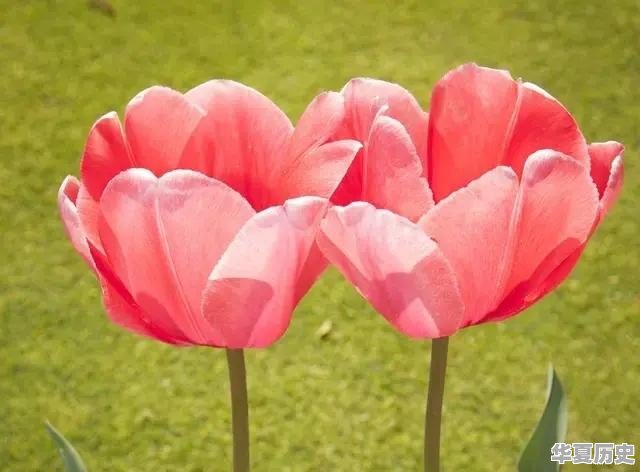 中国有效国土面积在世界排名中排第几 - 华夏历史