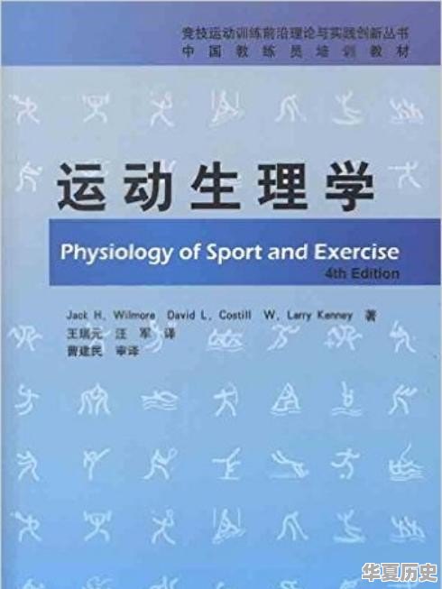 人体最大的肌肉是哪一块 - 华夏历史