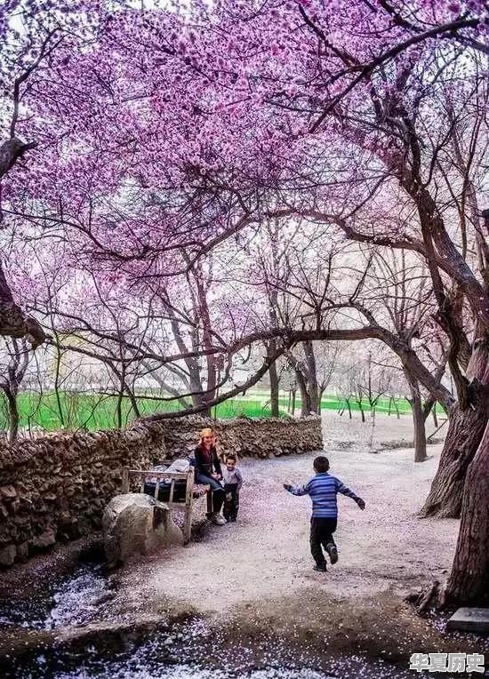 莆田这个地方的“彩礼”大概是多少 - 华夏历史