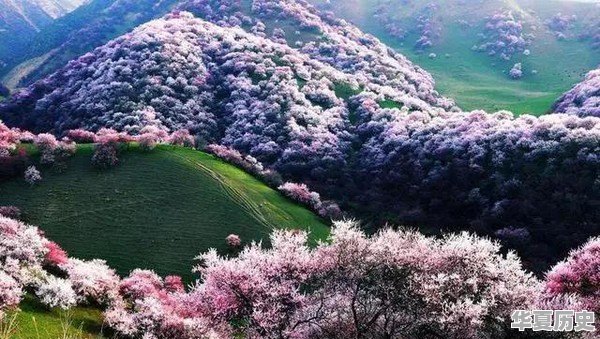 莆田这个地方的“彩礼”大概是多少 - 华夏历史