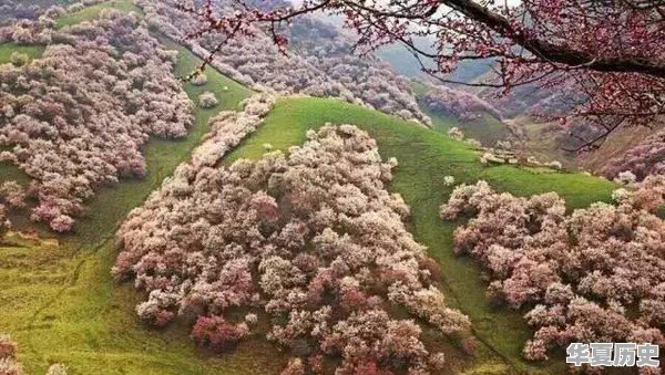 莆田这个地方的“彩礼”大概是多少 - 华夏历史