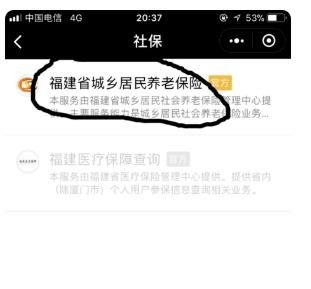手机上怎么交养老保险的钱