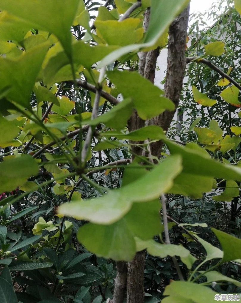 历史上有哪些著名的母子故事 - 华夏历史