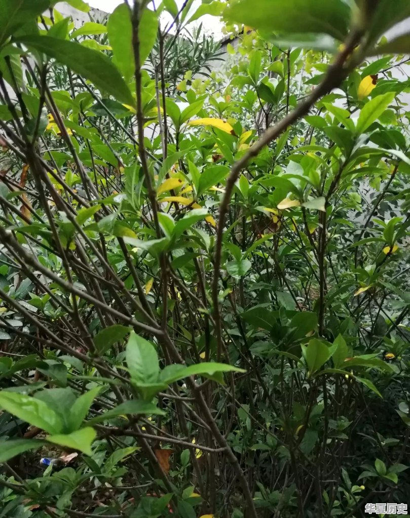历史上有哪些著名的母子故事 - 华夏历史