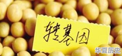 科学最大的缺点是什么 - 华夏历史