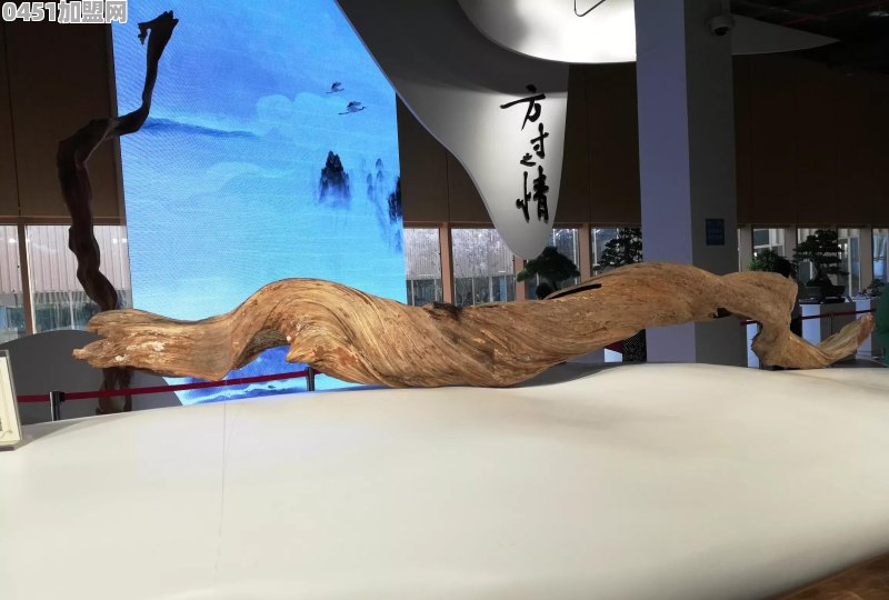 在杭州核心地段有7套房，可以考虑不上班么
