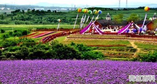10月份最适合去哪里旅游