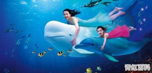 10月份最适合去哪里旅游