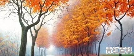 10月份最适合去哪里旅游